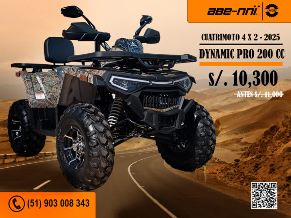 Dynamic Pro 200 CC Camuflaje