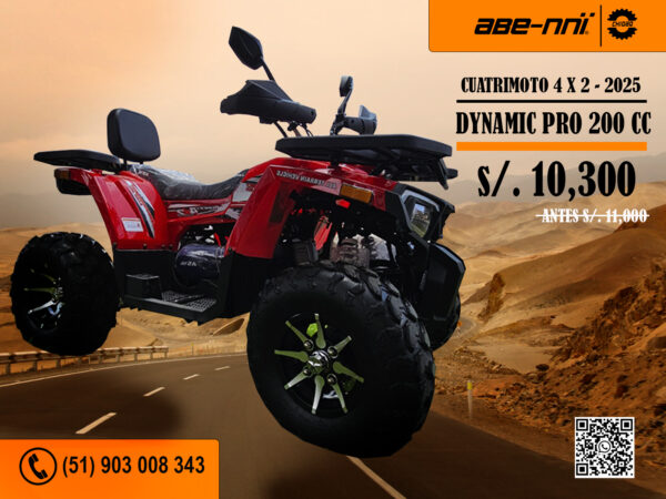 Dynamic Pro 200 CC Roja